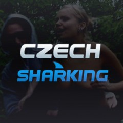 Czech Sharking