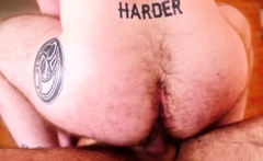 BEARFILMS Cub Jeremy Feist Hairy Hole Dicked By Inked Daddy