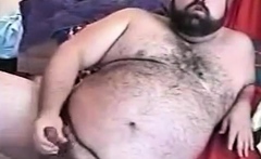 Hairy Chubby Bear Jo1