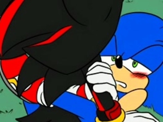 Breeding Season Sonic x Shadow | Prime Sonadow