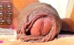 Penis Jerking Off Gay Latinos