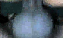 Sexy wife in pigtails sucking bbc mm