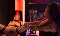 Domina Dark - Dollys Blackout