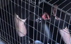 BDSM Porn HD scene 1036